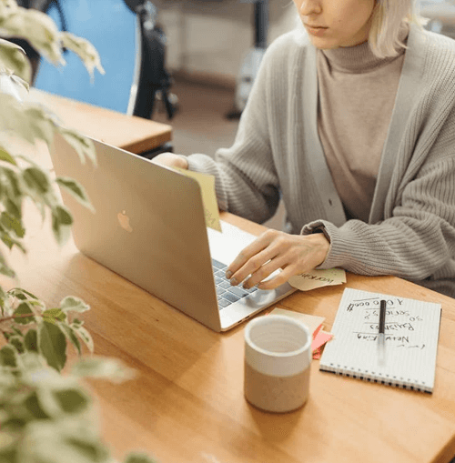 Bitrain Vexmor illustrazione del team di supporto